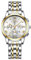 OIDEA Damen Uhren Dreizählwerk Armbanduhr: Gold Silber Elegant Analog Quarz Damenuhr Edelstahl mit Römischer Zifferblatt Verstellbar Wasserdicht Geschenk für Frauen Freundin Schwester Mutter
