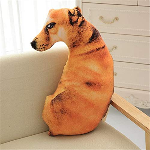 Nicole Knupfer 3D Zierkissen mit waschbarem Bezug, Cute Katze, Dekokissen, weiches Kopfkissen, Sofakissen Couchkissen Home Decoration, geeignet für Allergiker (E,70cm)