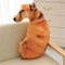 Nicole Knupfer 3D Zierkissen mit waschbarem Bezug, Cute Katze, Dekokissen, weiches Kopfkissen, Sofakissen Couchkissen Home Decoration, geeignet für Allergiker (E,70cm)