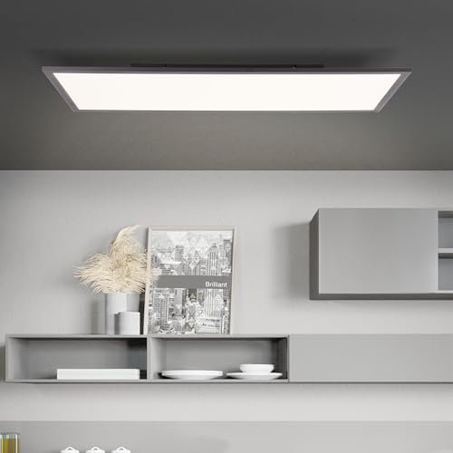 Lightbox LED Panel mit CCT & Memory Funktion & Nachlicht - 40 cm x 80 cm - schwarze Aufbaupaneel - dimmbar per Fernbedienung - Lichtfarbe einstellbar (2700-6500 K) - 3800 lm - aus Metall/Kunststoff