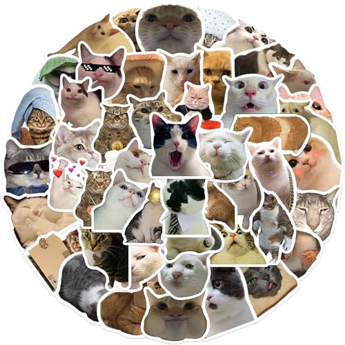 50 Stück Lustige Meme Sticker Set,Meme Aufkleber für Auto Laptop Skateboard Fahrrad Moped Motorrad Fahrrad Computer,Geeignet für Erwachsene