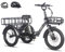 Fafrees F20 Mate E-Bike Tricycle, 20 * 3.0 Inch Foldable Tricycle for Adults, 48V/18.2Ah Removable Battery, Front Rack, Electric Cargo Trike for Senior, Range 110KM (Grey)