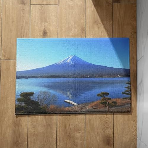 CEVAN Tapis Devant De Porte Extérieur Petit Tapis Entrée Intérieur Paysage Naturel Tapis De Cuisine Absorbant pour Sol Tapis D Entrée Interieur Original 40x60cm