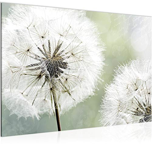 Runa Art Bild Pusteblume Modern Wandbilder Wohnzimmer Schlafzimmer 1 Teilig - Made In Germany - Natur Grau Grün Flur 207115a