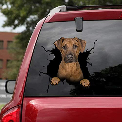 Ocean Gift Rhodesian Ridgeback Autoaufkleber, Hunde-Autoaufkleber, 2 Stück, realistische Rhodesian Ridgeback Aufkleber für Autofenster, Wände, Serie 53, Größe 30,5 x 30,5 cm