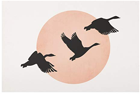 Bilderwelten Glasbild - Vögel vor rosa Sonne III, 30cm x 45cm