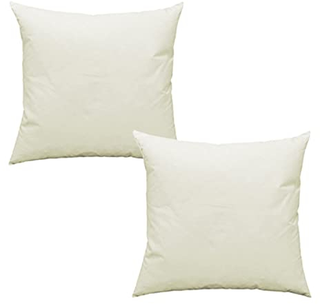 Haus und Deko 2er Pack Füllkissen Federn Kissen 65x65 cm Inlett Kissenfüllung Kopfkissen Innenkissen Federkissen Baumwolle