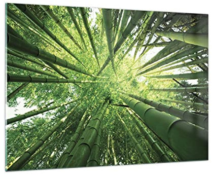 ARTTOR Bilder auf Glas 100x70cm Glasbild Bambus Dschungel Grün Groß Wanddeko Bild im Glas Schlafzimmer Küche Deko Wandbilder Dekoration Wohnzimmer Modern Wall Decor Wand Kunstdruck Art GAA100x70-4235