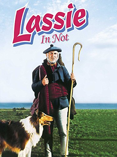 Lassie in Not