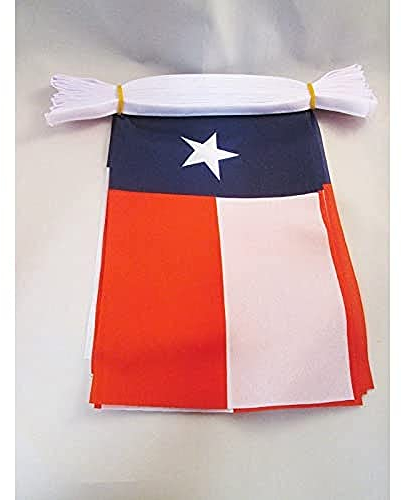 AZ FLAG Guirnalda 4 Metros 20 Banderas de Texas 15x10cm - Bandera Americana DE Texas - EE.UU 10 x 15 cm - BANDERINES