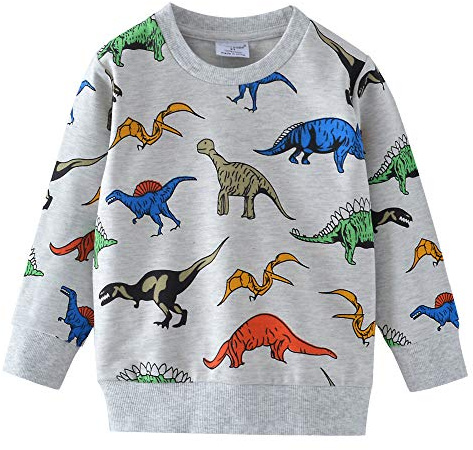 DHASIUE Kids Boys Dinosaur Sweatshirt Jumper T-Shirt Cute Long Sleeve Tops Casual Cotton Tee Shirts Toddler Clothes Age 1-7 Years