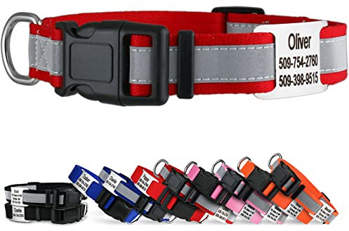 GoTags Reflective Personalised Dog Collar with Nameplate, Adjustable Dog Collar with Custom Engraved Steel Slide On Pet ID Tag, Silent, No Noise Dog Tag for Large Medium or Small (Red, Large)