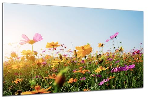 DARO Design - Wand-Bild auf 6mm HDF 70x50 cm Blumenwiese gelb - Wand-Deko Bilder Geschenk