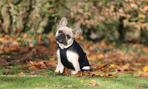 Bucas Freedom Dog Rug Hundemantel 150g Black/Taupe, Größe:30 cm