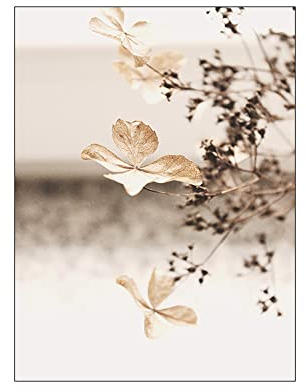 ABCWARRT Herbst Heu Poster Wandkunst Leinwand Malerei Nordic Trockenblumen Poster Pflanzenmalerei Für Wohnzimmer Schlafzimmer Wohnkultur (50 * 70cm Kein Rahmen,1)