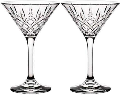 Plastic Martini Glasses - Premium - Polycarbonate Plastic (Pack of 2)
