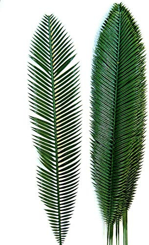 tatjana-land-deko 12 St. 70 cm Palmwedel Kunstpalmen Künstliche Blätter L55 | Deko, Floristik, Strauß