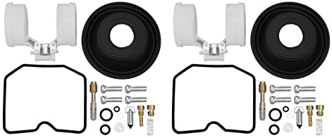 BIKING Reparación de carburadores, 2 juegos de reparación de carburador, kit de reparación de carburador, compatible con Kawasaki Vulcan 500/EN500 1991-1995