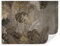 TAPEKO Papier Peint Panoramique Elégant 360x250 cm Feuillage tropical dans le style grunge Papier Peint intissé pour Chambre Salon Décoration Murale u97012