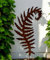 erma Gartenstecker Farn XXL – 120 cm hohe Rostfigur aus Metall – Edelrost Gartendeko für Beet, Rasen & Pflanzkübel – Handgefertigte Metallfigur in Farn-Optik – Wetterfeste Rostdeko Made in Germany
