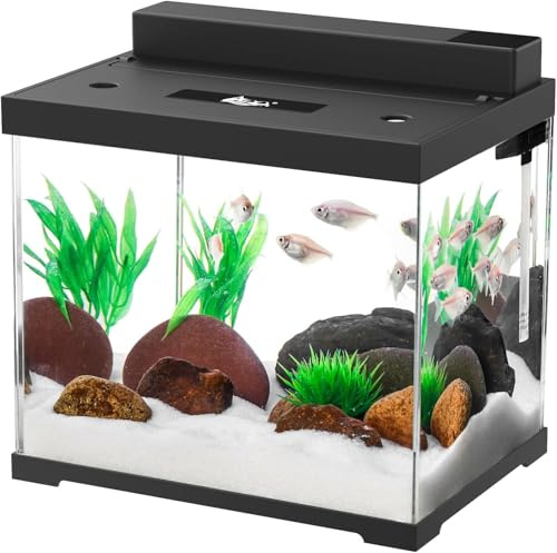 AQQA Fish Tank, 9L Small Glass Aquarium with Double Filtration System, 4 Color LED Lighting, Water Pump