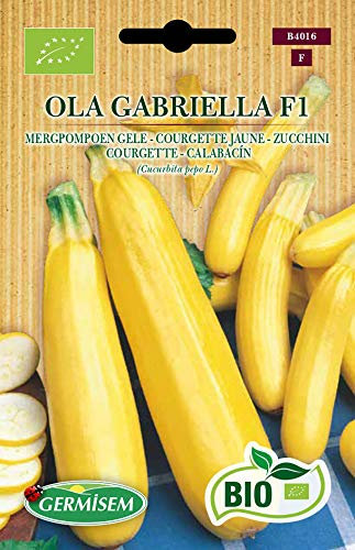 Germisem Orgánica Ola Gabriella F1 Calabacín 5 Semillas, ECBIO4016
