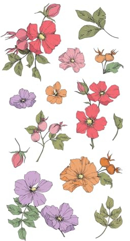 Sizzix Clear Rubber Stamp Set 13PK - Wildflower Botanicals