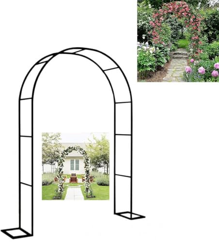 Arche de jardin en acier inoxydable pour plantes grimpantes, tonnelle en métal résistante aux intempéries, treillage extérieur, noir, 120 x 220 cm, parfaite pour décoration et soutien de jardin