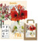 Verschiedene Blumenzwiebeln in Geschenkverpackung - Zwiebeln, Knollen verschiedener winterharter Pflanzen für Garten und Balkon - bunt, mehrjährig, für Topf und Beet (3 Amaryllis Zwiebeln ROT)