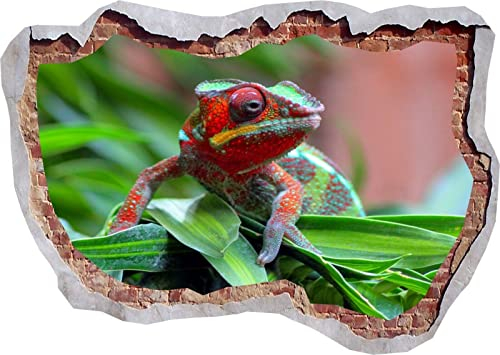 Chameleon Lizard Jungle Spotted 3D Wandaufkleber Poster Aufkleber Wandbild Schlafzimmer Z367