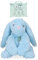 Cozy Dog Bunny Kuscheltier Hund - Kuscheltier mit Herzschlag - Plüschtier Hund - reduziert Trennungsangst - speziell für Welpen - Blau