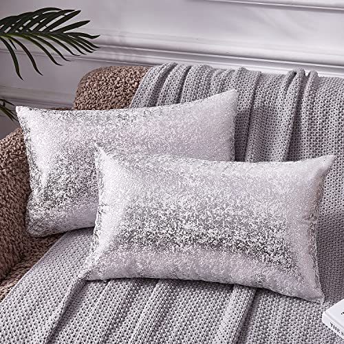 EUCIOR Silberfarbene Kissenbezüge, Samt, dekorativ, quadratisch, für Heimdekoration, Schlafzimmer, Wohnzimmer, Couch, Sofa, weiße und Silberne Kissenbezüge, 30,5 x 50,8 cm, 2 Stück