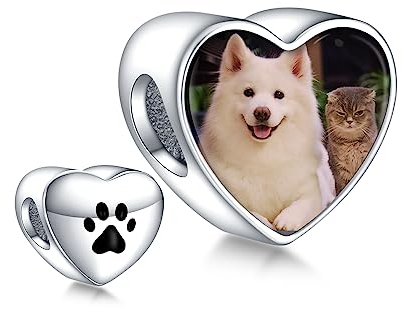 Annmors 925 Sterling Silber Charm Personalisierte Foto Anhänger fit Armband Halskette Maßgeschneiderte Herzform Love Heart Bild Perle Frauen Mädchen Katzen Hunde Baby Familie