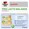 Doppelherz system PRO LACTO BALANCE – Immunsystem stärken – 12 ausgesuchte Milchsäure- plus Bifidokulturen – 30 Kapseln