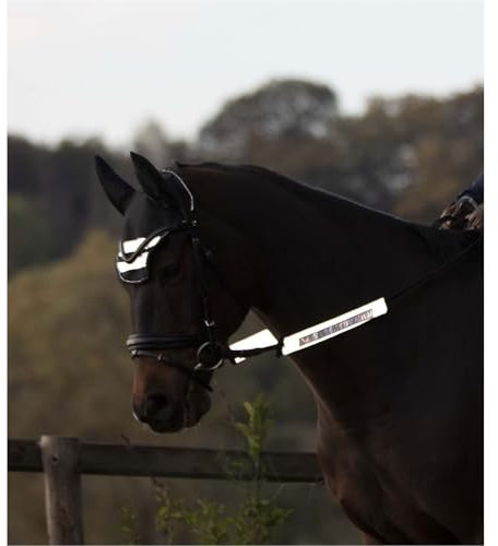 Marengos – Trensenzaum-Set Reflex (3-teilig) – stark reflektierende Bezüge für Trensenzaum & Zügel – Sichtbarkeit von Pferd & Reiter im Dunkeln – einfach zu befestigen – Grau