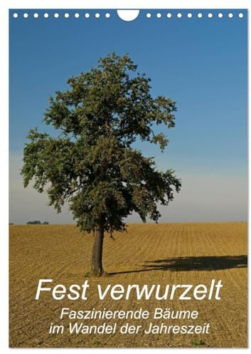 Fest verwurzelt - Faszinierende Bäume im Wandel der Jahreszeit (Wandkalender 2026 DIN A4 hoch), CALVENDO Monatskalender: Kahl oder mit üppigem ... ein eindrucksvoller Anblick (CALVENDO Natur)