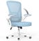 naspaluro Office Chair Ergonomic Desk Chair with 90° Flip-up Armrest Lumbar Support, Height Adjustable Office Desk Chair, Executive Swivel Computer Chair with Padded Seat Cushion for Home/Office-Blue