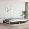 Festnight Polsterbett Futonbett mit Lattenrost Doppelbett Einzelbett Jugendbett Bettgestell Stoff Dunkelbraun 200 x 200 cm