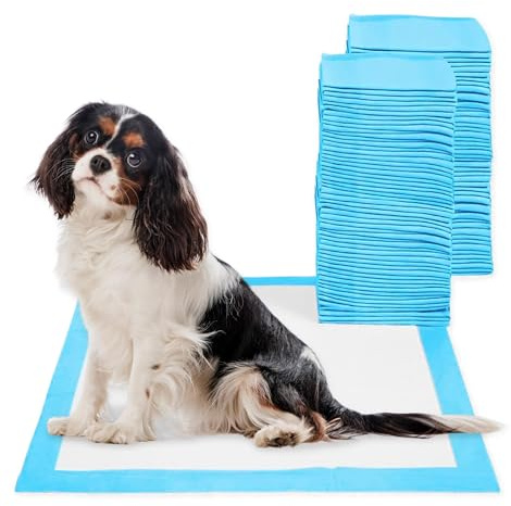 Empapadores Perros 60x60 cm I 100 Unidades Empapadores Perros Desechables | Alfombrillas Higienicas Desechables CIVINZON para Mascotas I Resguardos para Cães, Resistente, Atrayente y a Prueba de Fugas