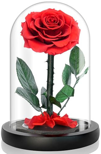 Naunauya Konservierte Blumen, Konservierte Rose in Glas - Ewige Rose für den perfekten Liebesbeweis - Infinity Rose, Glasrose, Rose im Glas mit Licht (Rot)