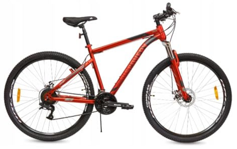 MTB 29 Zoll Mountainbike Shimano 21 GÄNGE SCHEIBENBREMSEN 19 Rahmen