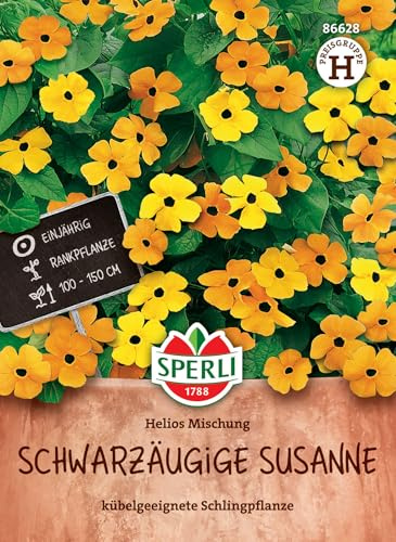 Sperli Schwarzäugige Susanne Samen Helios 86628 - Blumensamen für Zäune & Balkon, exotische Schlingpflanze mit gelb-orangen Blüten, Wuchshöhe bis zu 150 cm