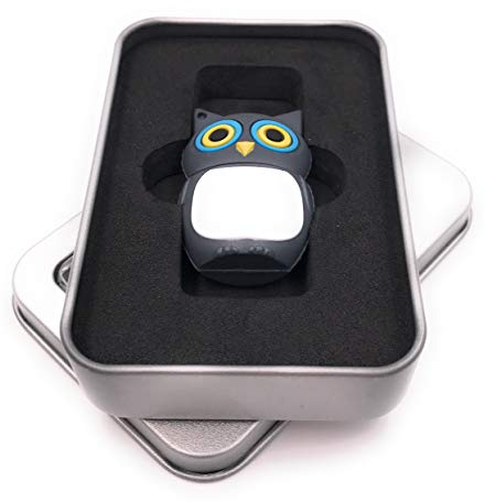 Onwomania Hibou Oiseau Gris Clé USB dans Une boîte Cadeau 32 Go USB 2.0