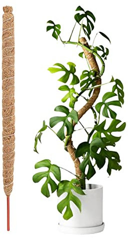 Pflanzenstab Rankhilfe, 1 Stück 100cm/110cm/120cm Biegbar Kokosfaser Moosstab Für Monstera, Kletterpflanzen Handgefertigte Pflanzenstäbe Für Garten Pflanzenunterstützung