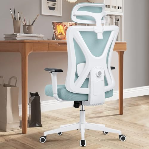 DoChair Ergonomischer Bürostuhl, Bürostuhl mit Lendenwirbelstütze und verstellbaren Armlehnen, Bürostuhl aus Netzstoff, hohe Rückenlehne, komfortabel, für das Büro zu Hause (Hellblau, 9777)