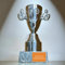 eberin · Big Smiley Pokal · Funnypokal · lustiger Spaß Cup · Wanderpokal · Kelchpokal in Smileyform · Gute Laune Pokal mit Wunschgravur · Stabiler Kunststoffpokal Silber · Größe 16,5 (MIT Gravur)