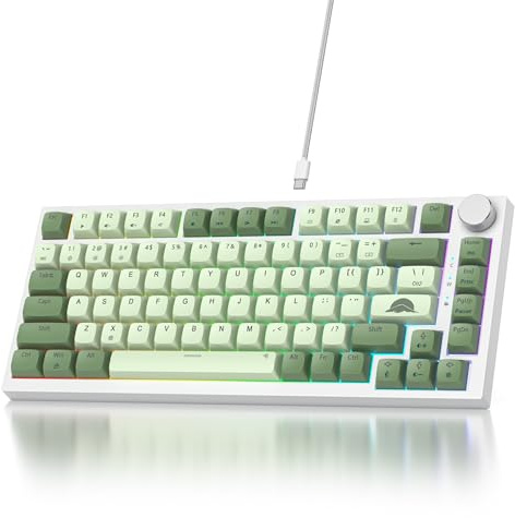 Vumilstek 75% Wired Mechanical Keyboard with Knob, American QWERTY Layout 82Keys Gasket Mount Hot-Swap Gaming Keyboard RGB Backlit NKRO Red Switch for Win/Mac(Matcha)