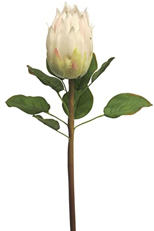 artplants.de Unechte Protea SHUHUI, weiß, 60 cm - Künstliche Stielblume