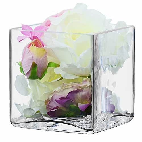 Solavia Vase cube en verre transparent pour bougeoirs et terrarium 14 x 14 cm