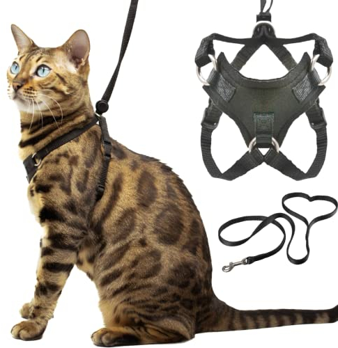 Houdini™ ausbruchsicheres Kätzchen-Geschirr und Leine, Set von OutdoorBengal für laufende Kätzchen, Größe S